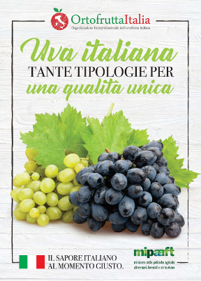 ortofrutta
